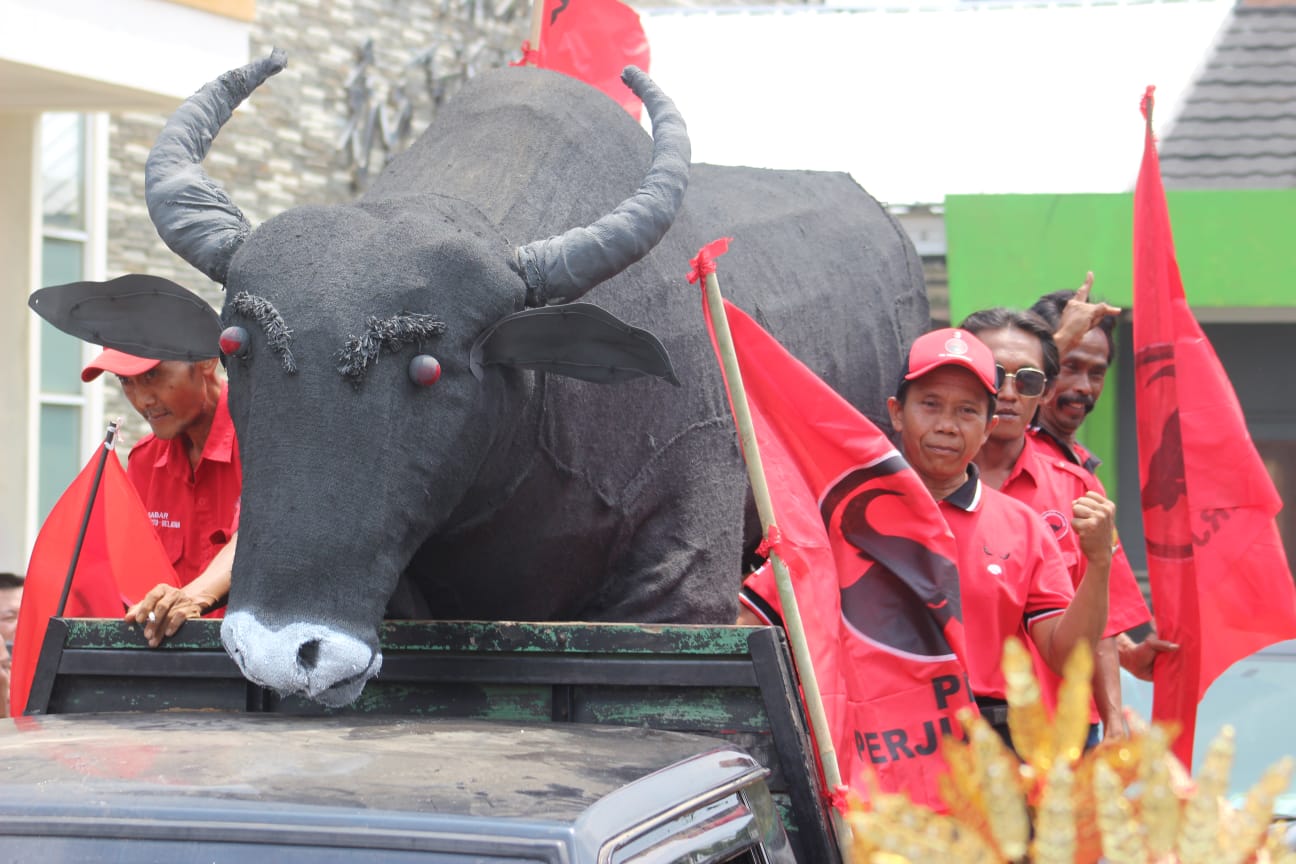 Simbol Jati Diri Pdi Perjuangan Metro Bawa Replika Banteng Dalam Pawai